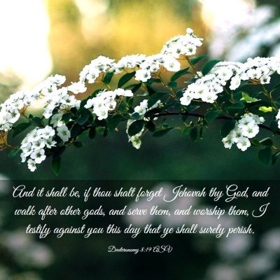 Picture 03 - Deuteronomy 8:19 ASV - And it shall be, if thou shalt forget Jehovah thy - Bible Verse Picture
