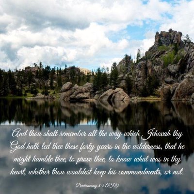 Picture 03 - Deuteronomy 8:2 ASV - And thou shalt remember all the way which Jehovah - Bible Verse Picture
