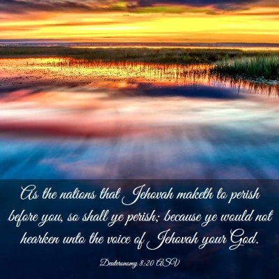 Picture 03 - Deuteronomy 8:20 ASV - As the nations that Jehovah maketh to perish - Bible Verse Picture