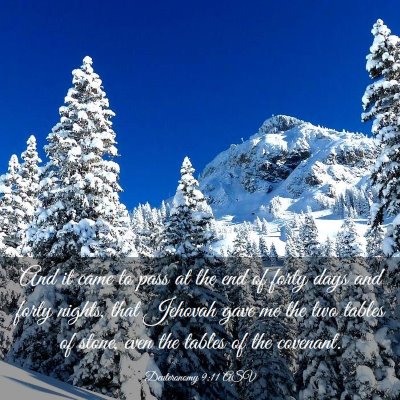 Picture 03 - Deuteronomy 9:11 ASV - And it came to pass at the end of forty days and - Bible Verse Picture