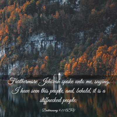Picture 03 - Deuteronomy 9:13 ASV - Furthermore Jehovah spake unto me, saying, I have - Bible Verse Picture