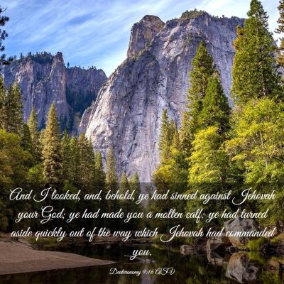 Picture 03 - Deuteronomy 9:16 ASV - And I looked, and, behold, ye had sinned against - Bible Verse Picture