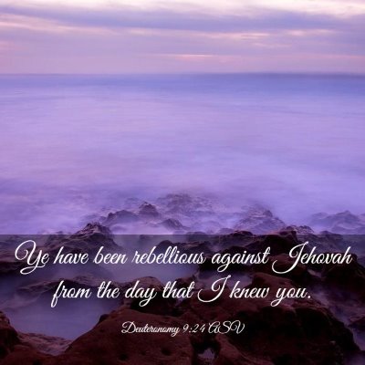 Picture 03 - Deuteronomy 9:24 ASV - Ye have been rebellious against Jehovah from the - Bible Verse Picture