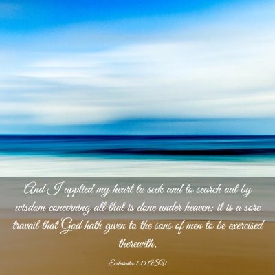Picture 03 - Ecclesiastes 1:13 ASV - And I applied my heart to seek and to search out - Bible Verse Picture