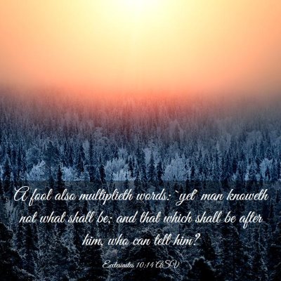 Picture 03 - Ecclesiastes 10:14 ASV - A fool also multiplieth words: `yet' man knoweth - Bible Verse Picture