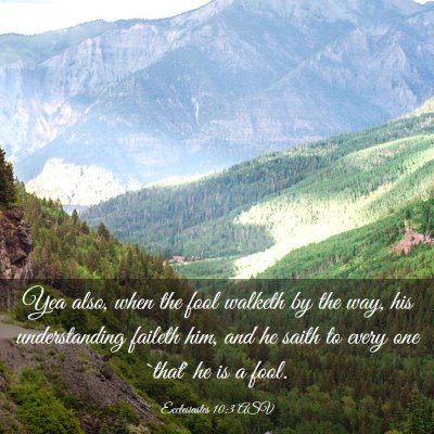Picture 03 - Ecclesiastes 10:3 ASV - Yea also, when the fool walketh by the way, his - Bible Verse Picture