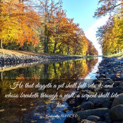 Picture 03 - Ecclesiastes 10:8 ASV - He that diggeth a pit shall fall into it; and - Bible Verse Picture