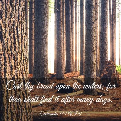 Picture 03 - Ecclesiastes 11:1 ASV - Cast thy bread upon the waters; for thou shalt - Bible Verse Picture
