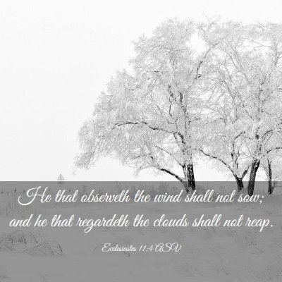 Picture 03 - Ecclesiastes 11:4 ASV - He that observeth the wind shall not sow; and he - Bible Verse Picture