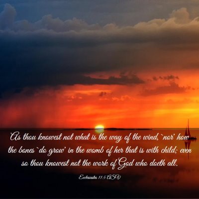 Picture 03 - Ecclesiastes 11:5 ASV - As thou knowest not what is the way of the wind, - Bible Verse Picture