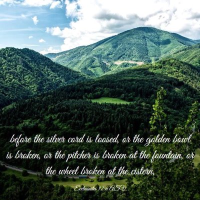 Picture 03 - Ecclesiastes 12:6 ASV - before the silver cord is loosed, or the golden - Bible Verse Picture