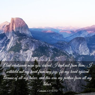 Picture 03 - Ecclesiastes 2:10 ASV - And whatsoever mine eyes desired I kept not from - Bible Verse Picture