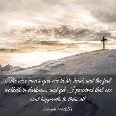 Picture 03 - Ecclesiastes 2:14 ASV - The wise man's eyes are in his head, and the fool - Bible Verse Picture