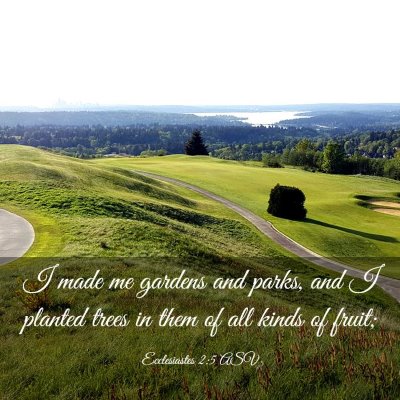 Picture 03 - Ecclesiastes 2:5 ASV - I made me gardens and parks, and I planted trees - Bible Verse Picture