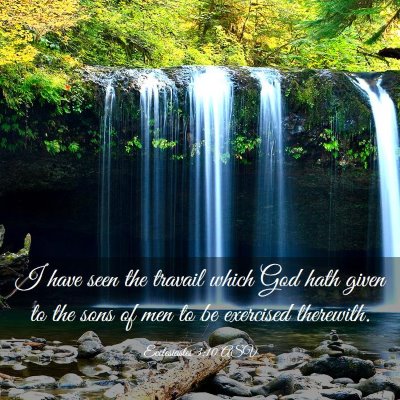 Picture 03 - Ecclesiastes 3:10 ASV - I have seen the travail which God hath given to - Bible Verse Picture