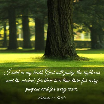 Picture 03 - Ecclesiastes 3:17 ASV - I said in my heart, God will judge the righteous - Bible Verse Picture