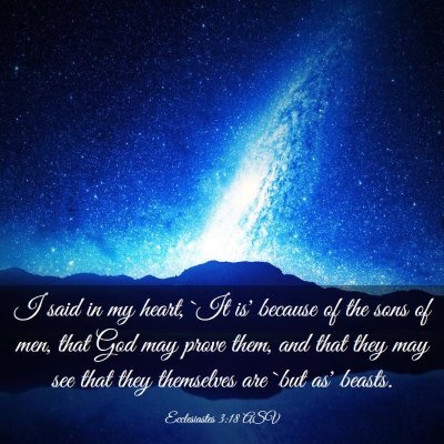 Picture 03 - Ecclesiastes 3:18 ASV - I said in my heart, `It is' because of the sons - Bible Verse Picture