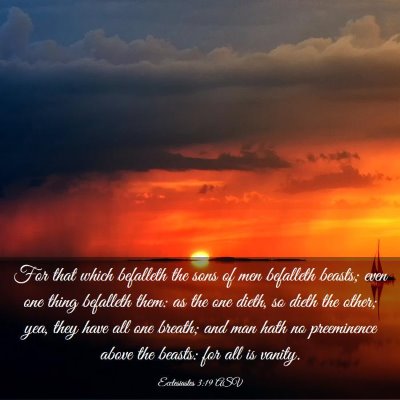 Picture 03 - Ecclesiastes 3:19 ASV - For that which befalleth the sons of men - Bible Verse Picture