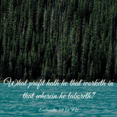 Picture 03 - Ecclesiastes 3:9 ASV - What profit hath he that worketh in that wherein - Bible Verse Picture