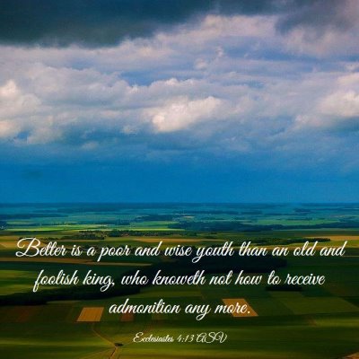 Picture 03 - Ecclesiastes 4:13 ASV - Better is a poor and wise youth than an old and - Bible Verse Picture