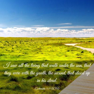 Picture 03 - Ecclesiastes 4:15 ASV - I saw all the living that walk under the sun, - Bible Verse Picture