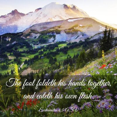 Picture 03 - Ecclesiastes 4:5 ASV - The fool foldeth his hands together, and eateth - Bible Verse Picture