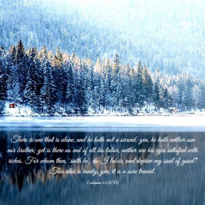 Picture 03 - Ecclesiastes 4:8 ASV - There is one that is alone, and he hath not a - Bible Verse Picture