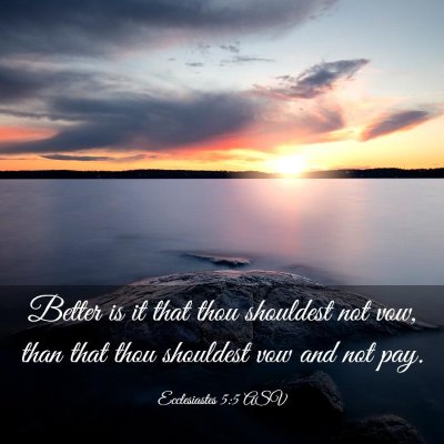 Picture 03 - Ecclesiastes 5:5 ASV - Better is it that thou shouldest not vow, than - Bible Verse Picture