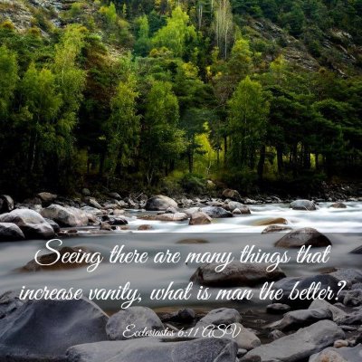 Picture 03 - Ecclesiastes 6:11 ASV - Seeing there are many things that increase - Bible Verse Picture