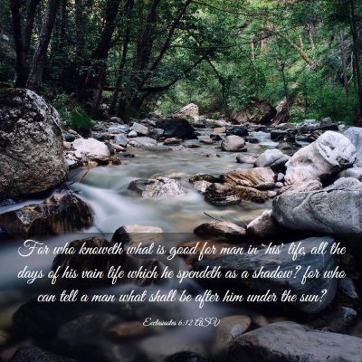 Picture 03 - Ecclesiastes 6:12 ASV - For who knoweth what is good for man in `his' - Bible Verse Picture