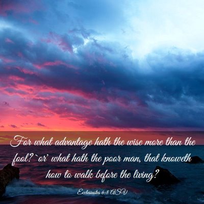 Picture 03 - Ecclesiastes 6:8 ASV - For what advantage hath the wise more than the - Bible Verse Picture