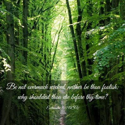 Picture 03 - Ecclesiastes 7:17 ASV - Be not overmuch wicked, neither be thou foolish: - Bible Verse Picture