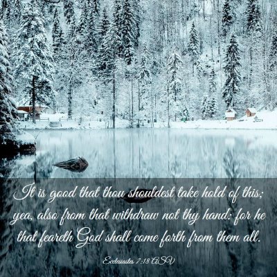 Picture 03 - Ecclesiastes 7:18 ASV - It is good that thou shouldest take hold of this; - Bible Verse Picture