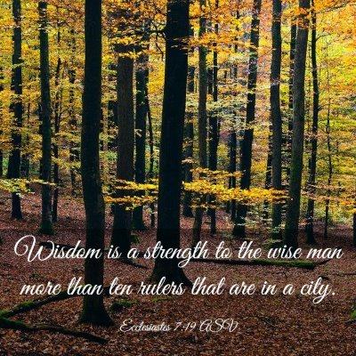 Picture 03 - Ecclesiastes 7:19 ASV - Wisdom is a strength to the wise man more than - Bible Verse Picture