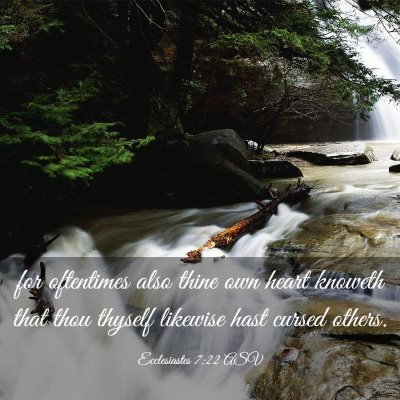 Picture 03 - Ecclesiastes 7:22 ASV - for oftentimes also thine own heart knoweth that - Bible Verse Picture