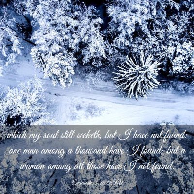 Picture 03 - Ecclesiastes 7:28 ASV - which my soul still seeketh, but I have not - Bible Verse Picture
