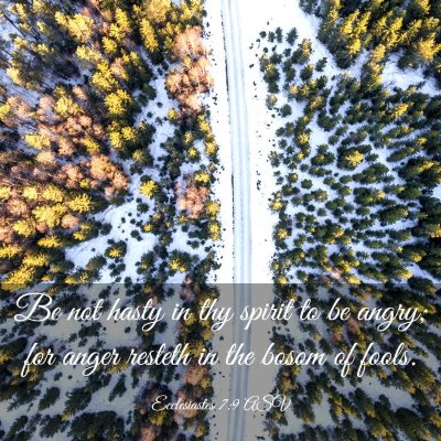 Picture 03 - Ecclesiastes 7:9 ASV - Be not hasty in thy spirit to be angry; for anger - Bible Verse Picture