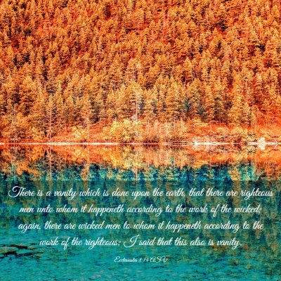 Picture 03 - Ecclesiastes 8:14 ASV - There is a vanity which is done upon the earth, - Bible Verse Picture