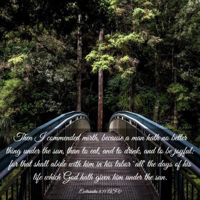 Picture 03 - Ecclesiastes 8:15 ASV - Then I commended mirth, because a man hath no - Bible Verse Picture