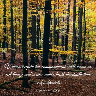 Picture 03 - Ecclesiastes 8:5 ASV - Whoso keepeth the commandment shall know no evil - Bible Verse Picture