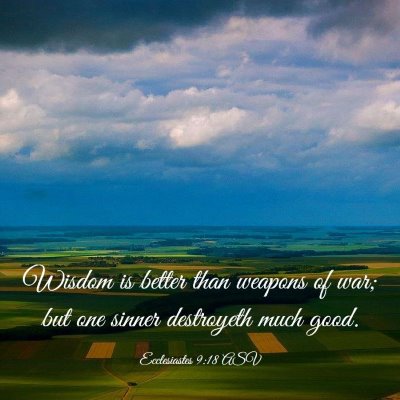Picture 03 - Ecclesiastes 9:18 ASV - Wisdom is better than weapons of war; but one - Bible Verse Picture