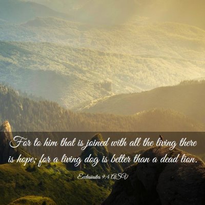 Picture 03 - Ecclesiastes 9:4 ASV - For to him that is joined with all the living - Bible Verse Picture