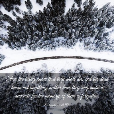 Picture 03 - Ecclesiastes 9:5 ASV - For the living know that they shall die: but the - Bible Verse Picture