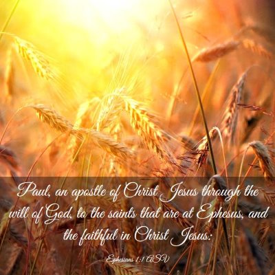 Picture 03 - Ephesians 1:1 ASV - Paul, an apostle of Christ Jesus through the will - Bible Verse Picture
