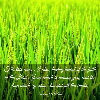 Picture 03 - Ephesians 1:15 ASV - For this cause I also, having heard of the faith - Bible Verse Picture