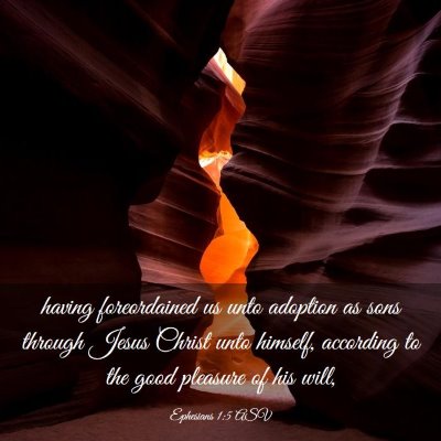 Picture 03 - Ephesians 1:5 ASV - having foreordained us unto adoption as sons - Bible Verse Picture