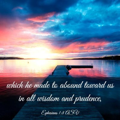 Picture 03 - Ephesians 1:8 ASV - which he made to abound toward us in all wisdom - Bible Verse Picture