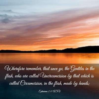 Picture 03 - Ephesians 2:11 ASV - Wherefore remember, that once ye, the Gentiles in - Bible Verse Picture