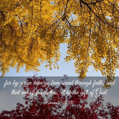Picture 03 - Ephesians 2:8 ASV - for by grace have ye been saved through faith; - Bible Verse Picture