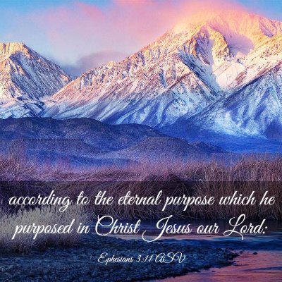 Picture 03 - Ephesians 3:11 ASV - according to the eternal purpose which he - Bible Verse Picture